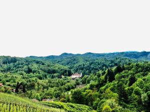 Svečinski grad iz daljave